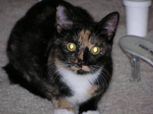 zoe3.jpg